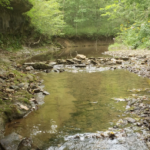 Cincinnati Group Hike